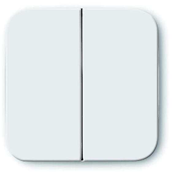 2545-214 CoverPlates (partly incl. Insert) carat® Alpine white image 1