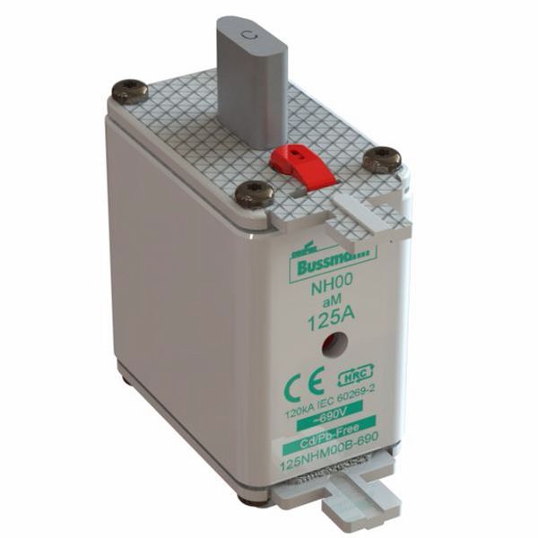 Fuse-link, low voltage, 100 A, AC 690 V, NH00, aM, IEC, dual indicator image 3