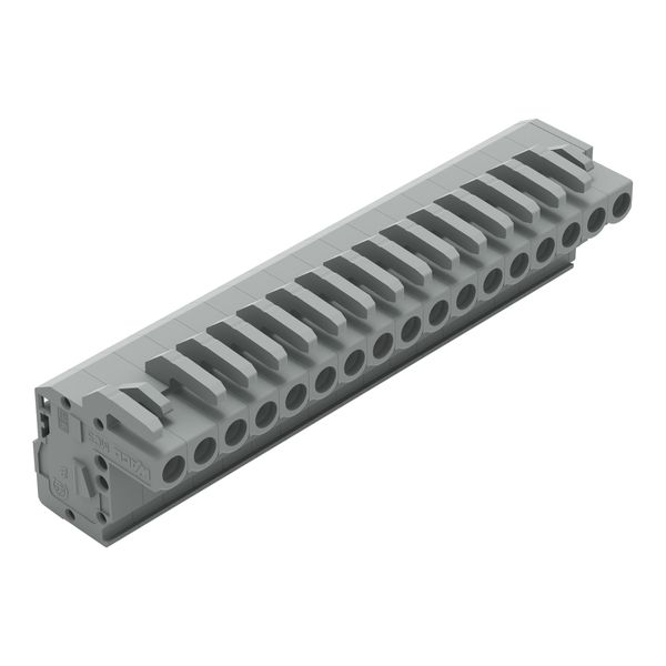 1-conductor female connector, angled CAGE CLAMP® 2.5 mm² gray image 1