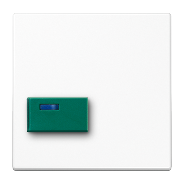 Cover plate for Ackermann LS642CWW image 2