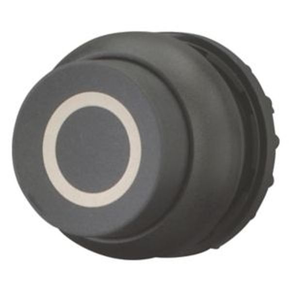 Pushbutton, RMQ-Titan, Extended, momentary, black, inscribed, Bezel: black image 2