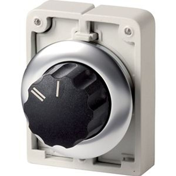 Changeover switch, RMQ-Titan, with rotary head, maintained, 2 positions, inscribed, Front ring stainless steel, II I image 2