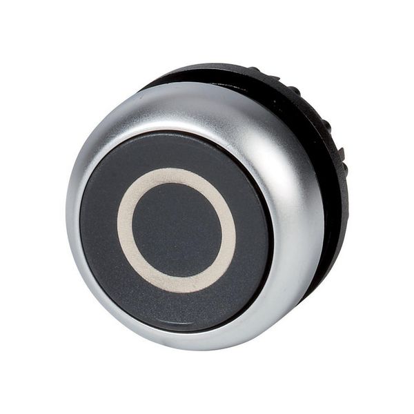 Pushbutton, RMQ-Titan, Flat, momentary, black, inscribed, Bezel: titanium image 5