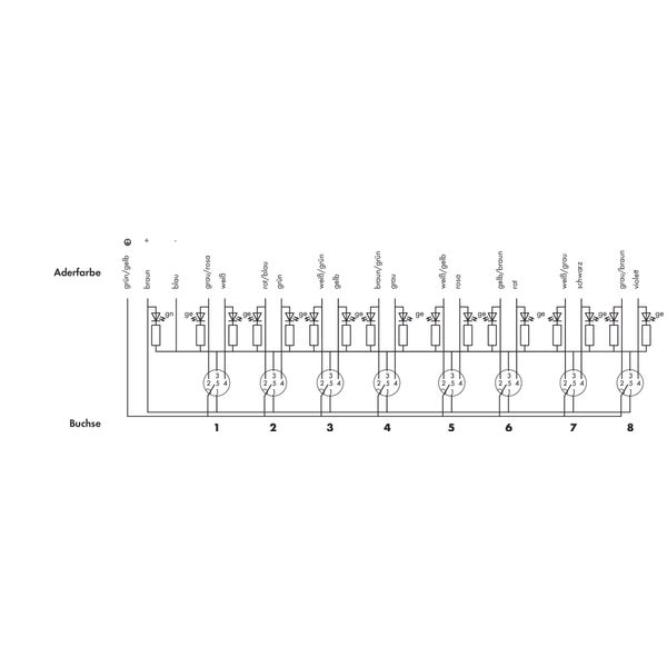 M12 sensor/actuator box 8-way 5-pole image 4