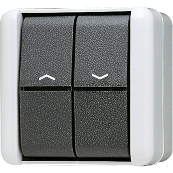 2-gang blind switch/push-button 10 AX 839VW image 1