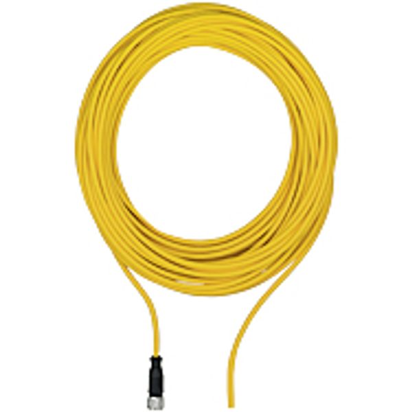 PSEN op cable axial M12 12-pole 5m image 1