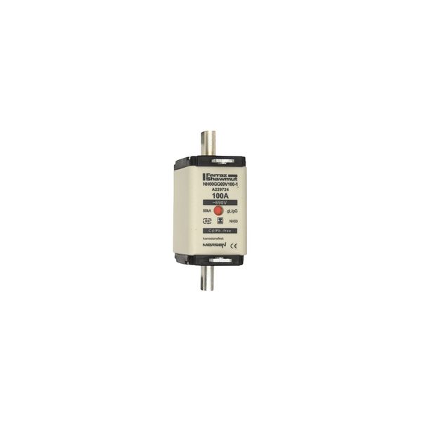 Fuse-link NH00 gG 690VAC 100A isolated tags Double indicator image 1