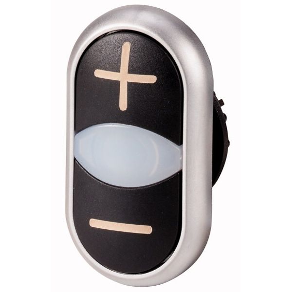 Double actuator pushbutton, RMQ-Titan, Actuators and indicator lights non-flush, momentary, White lens, black, black, inscribed, Bezel: titanium image 1