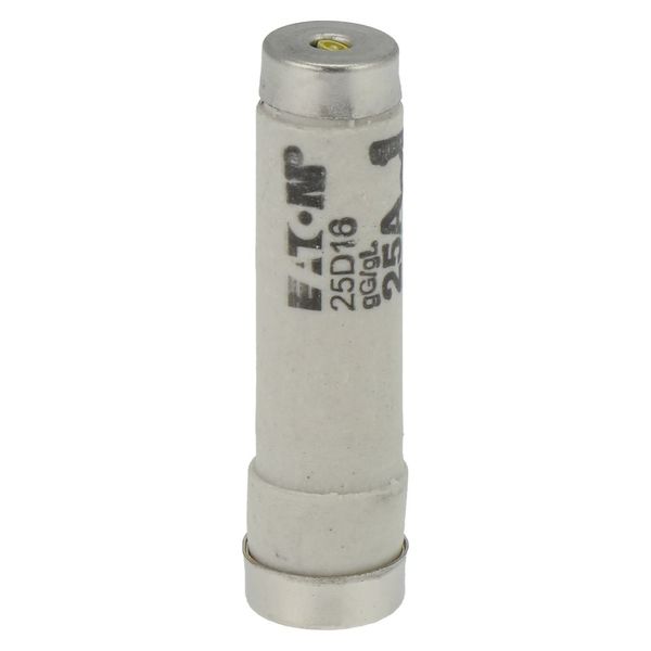 Fuse-link, LV, 25 A, AC 500 V, D1, gL/gG, IEC, time-delay image 21