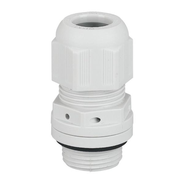 Cable gland, for ventilation, M20, RAL 7035, IP68 image 4