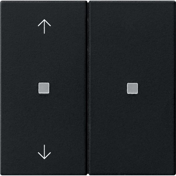 RF op.top 2-g arrows KNX System 55 black m image 1