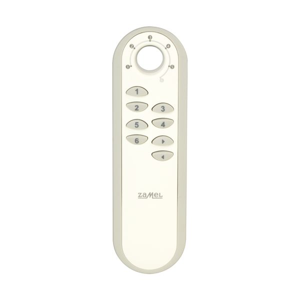 36- Channel remote control type: P-256/36 image 1