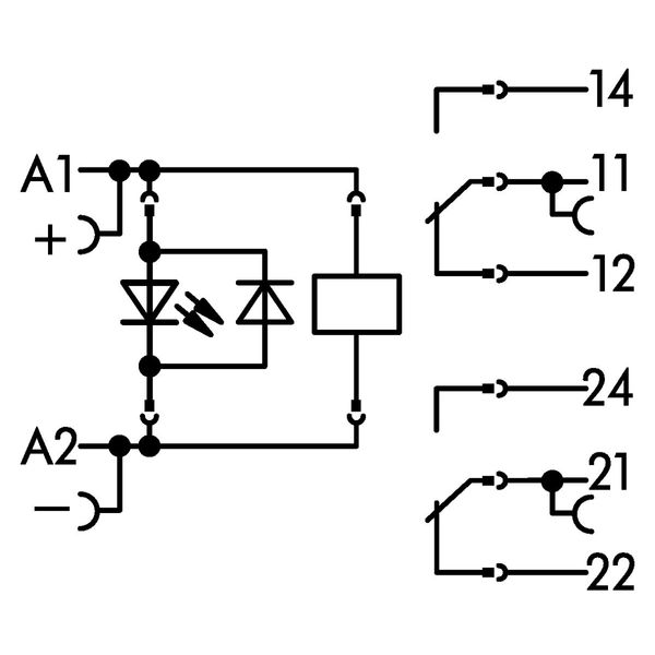 Relay module Nominal input voltage: 24 VDC 2 changeover contacts gray image 7