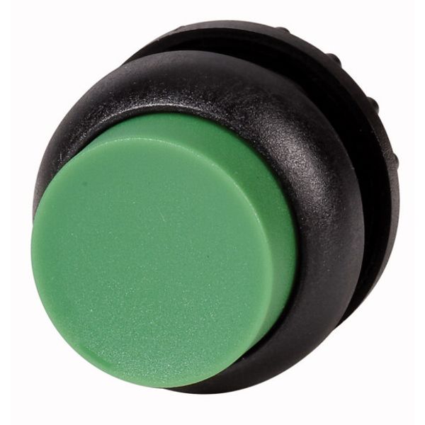 Pushbutton, RMQ-Titan, Extended, maintained, green, Blank, Bezel: black image 1