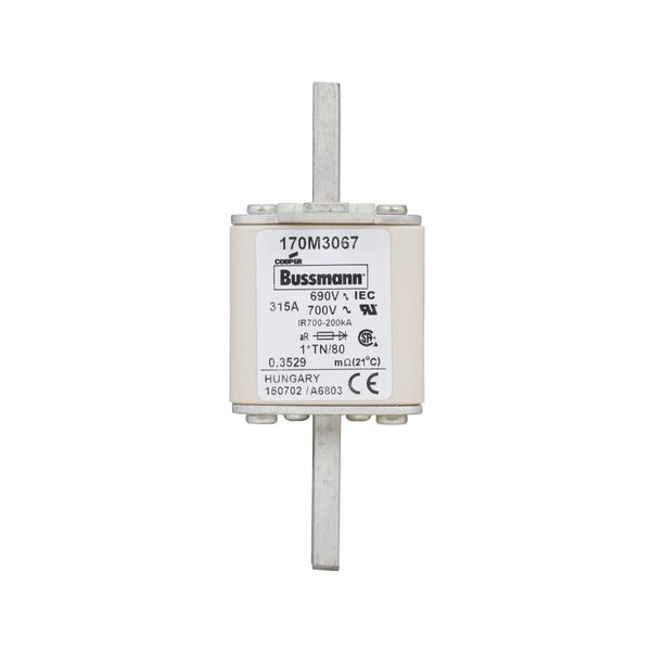 Fuse-link, high speed, 315 A, AC 690 V, compact DIN 1, 45 x 58 x 104 mm, aR, DIN, IEC, single indicator image 11