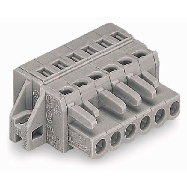 1-conductor female connector CAGE CLAMP® 2.5 mm² gray image 2