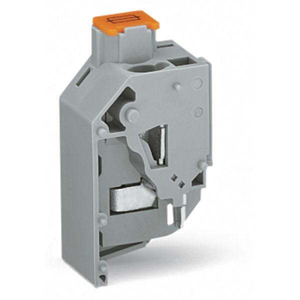 Transformer fuse terminal block for fuse 5 x 20 mm CAGE CLAMP® connect image 1