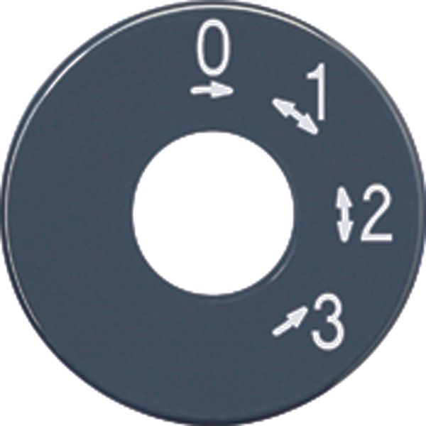 Spare scale disc SKS1101-4 image 2