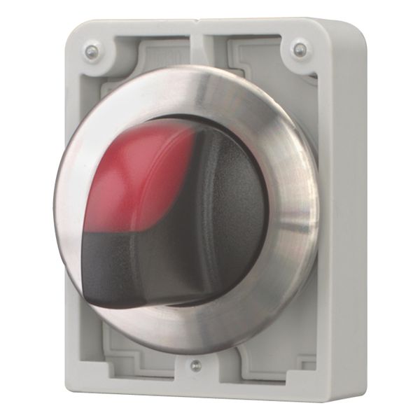 Illuminated selector switch actuator, RMQ-Titan, with thumb-grip, maintained, 2 positions, red, Front ring stainless steel image 4