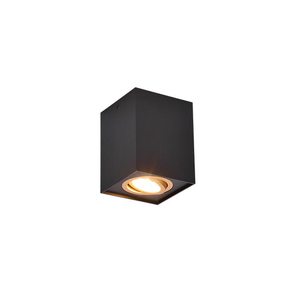 Biscuit ceiling lamp 1-pc GU10 black/gold image 1