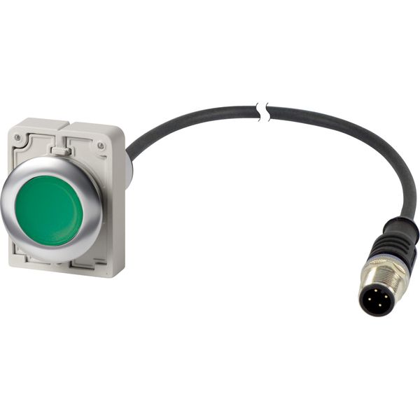 Illuminated pushbutton actuator, Flat, maintained, 1 N/O, Cable (black) with M12A plug, 4 pole, 1 m, LED green, green, Blank, 24 V AC/DC, Metal bezel image 3