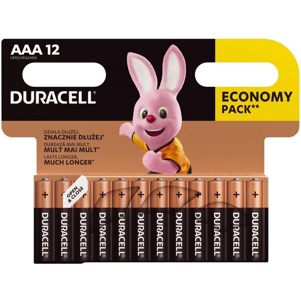 DURACELL Basic MN2400 AAA BL12 image 1