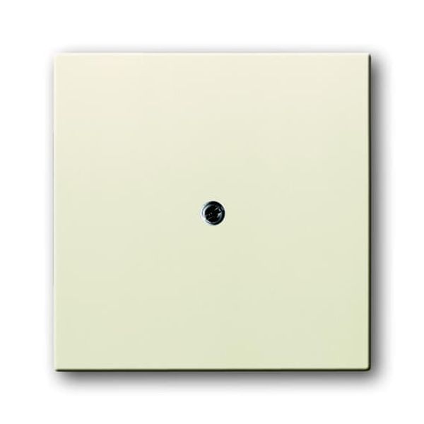 1745-82 CoverPlates (partly incl. Insert) future®, solo®; carat®; Busch-dynasty® ivory white image 2