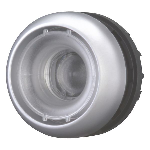 Pushbutton, RMQ-Titan, momentary, Without button plate, Bezel: titanium image 6