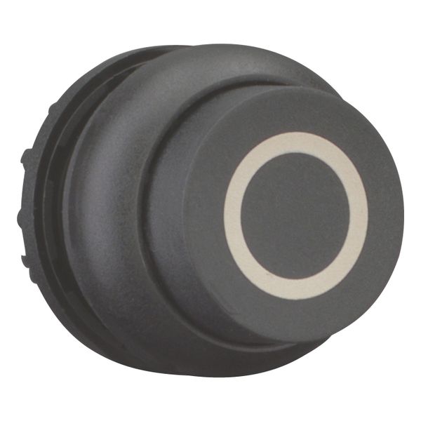 Pushbutton, RMQ-Titan, Extended, maintained, black, inscribed, Bezel: black image 14