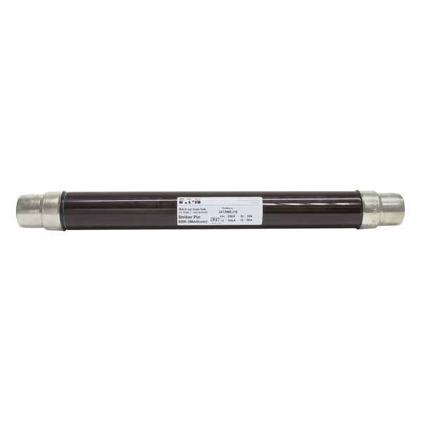 Fuse-link, medium voltage, 16 A, AC 24 kV, 2", 51 x 442 mm, back-up, DIN, with striker image 7