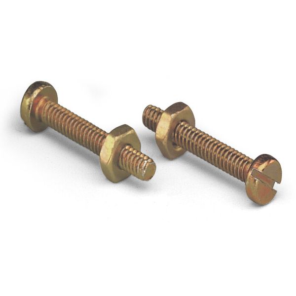 Screw with nut M2x12 for fixing element image 1