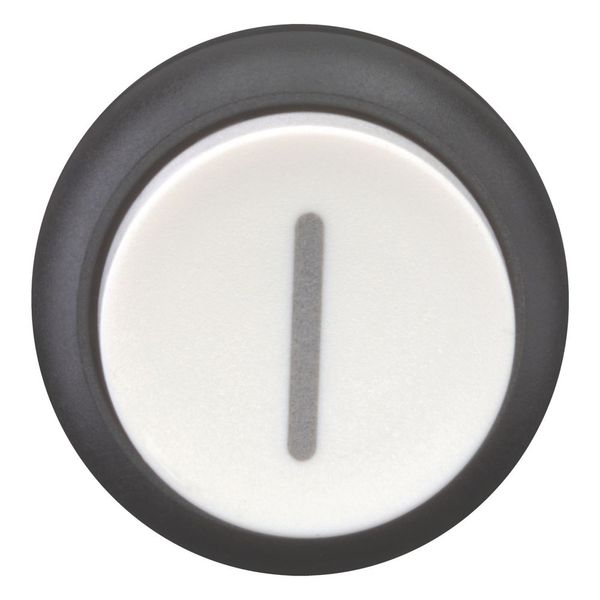 Pushbutton, RMQ-Titan, Extended, maintained, White, inscribed, Bezel: black image 3