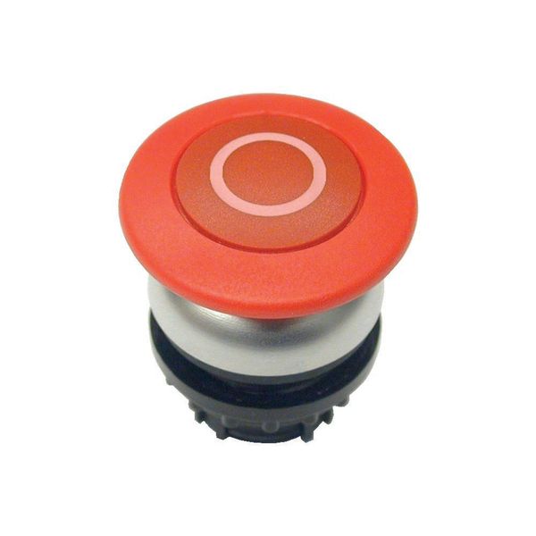 Mushroom actuator, RMQ-Titan, Mushroom, maintained, Mushroom red, red, inscribed, Bezel: titanium image 5