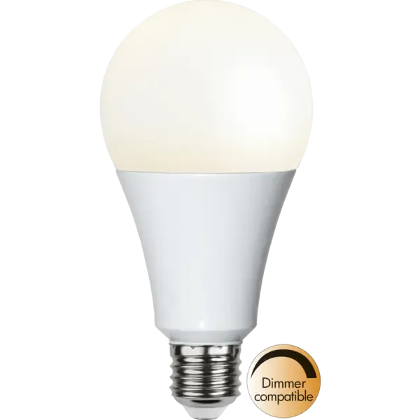 LED-lamp E27 A80 High Lumen image 1