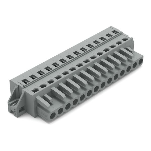 1-conductor female connector CAGE CLAMP® 2.5 mm² gray image 1