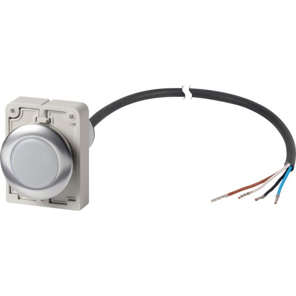 Indicator light, Flat, Cable (black) with non-terminated end, 4 pole, 3.5 m, Lens white, LED white, 24 V AC/DC image 3