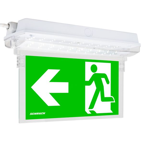 Hanging sign for emergency luminaires K5 image 3