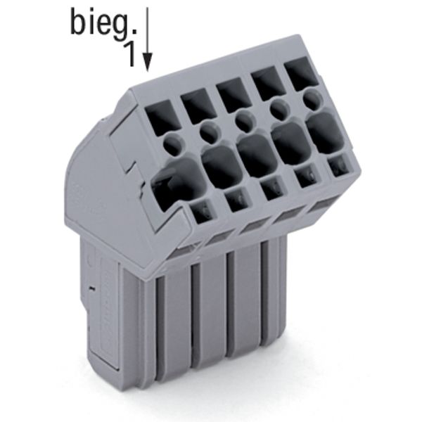 1-conductor female connector, angled CAGE CLAMP® 4 mm² gray image 3