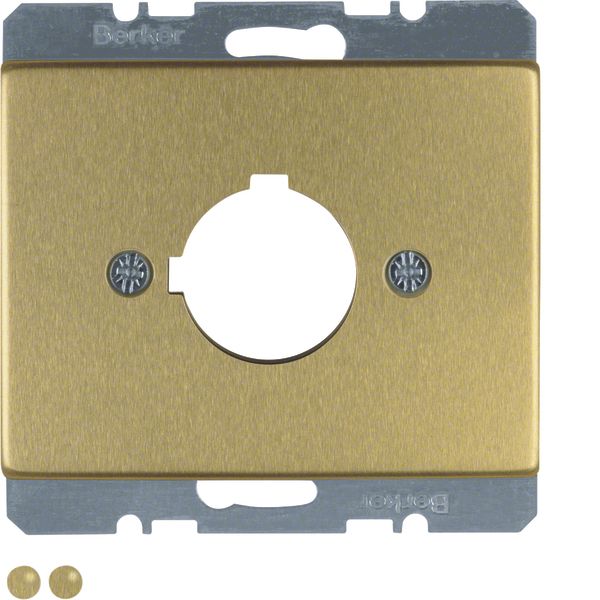 Centre plate for signalling and command unit, Ø 22.5 mm, Arsys, gold,  image 1