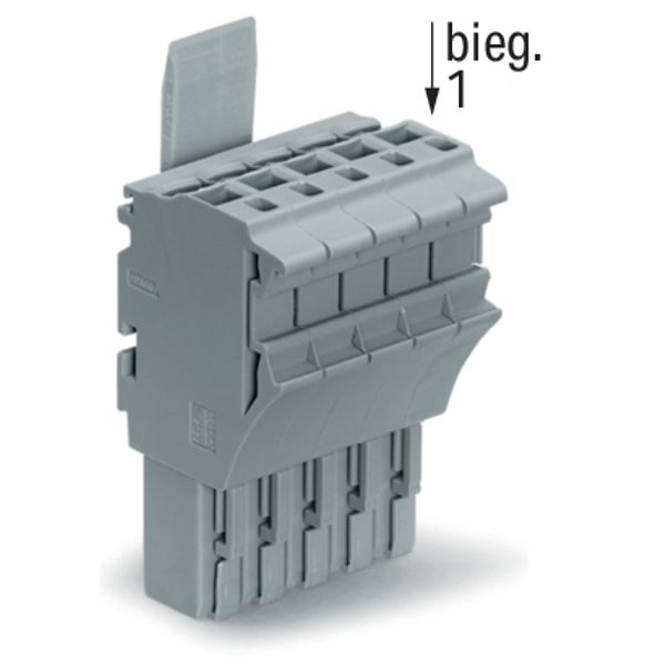 1-conductor female connector Push-in CAGE CLAMP® 4 mm² gray image 4