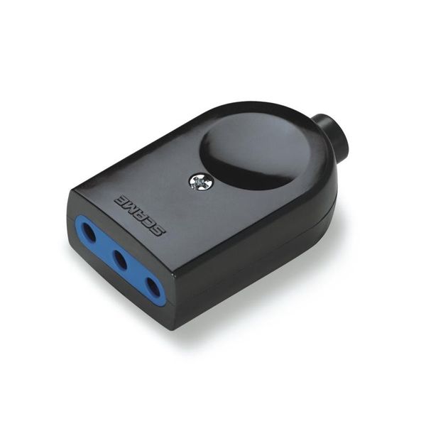 SOCKET 2P+E 10A BLACK "BLUELINE" image 1