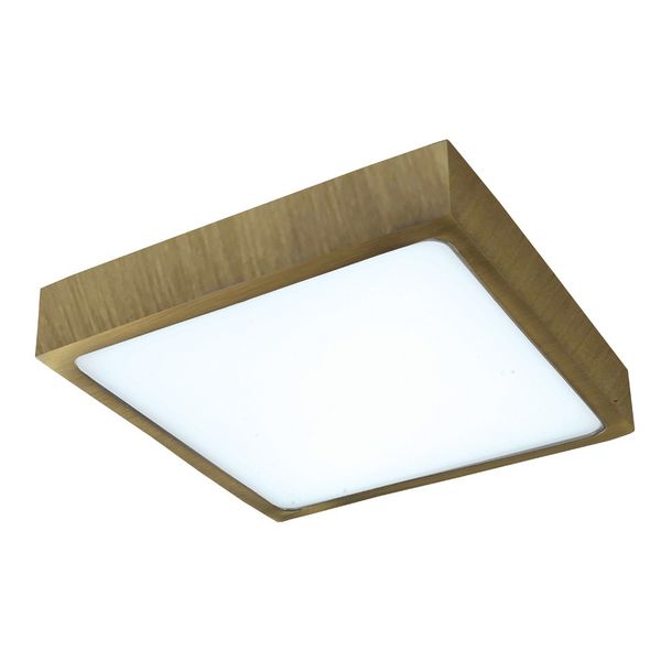 Kaju Surface Mounted LED Downlight SQ 30W Brass image 2