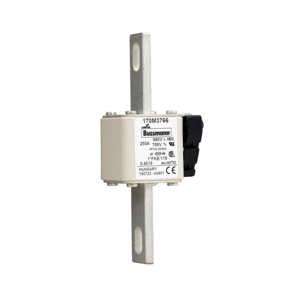 Fuse-link, high speed, 250 A, AC 690 V, compact size 1, 45 x 59 x 148 mm, aR, IEC, UL, single indicator image 8