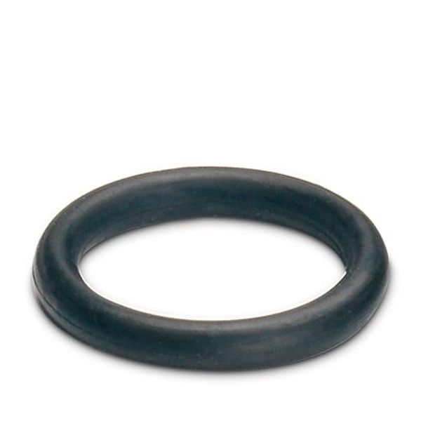 Sealing ring image 1