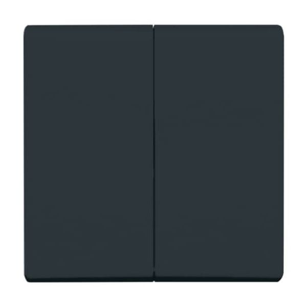 2108-35 CoverPlates (partly incl. Insert) carat® Anthracite image 5