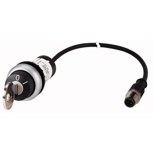 Key-operated actuator, RMQ compact solution, momentary, 1 N/O, Cable (black) with M12A plug, 4 pole, 0.2 m, 2 positions, MS1, Bezel: titanium image 1