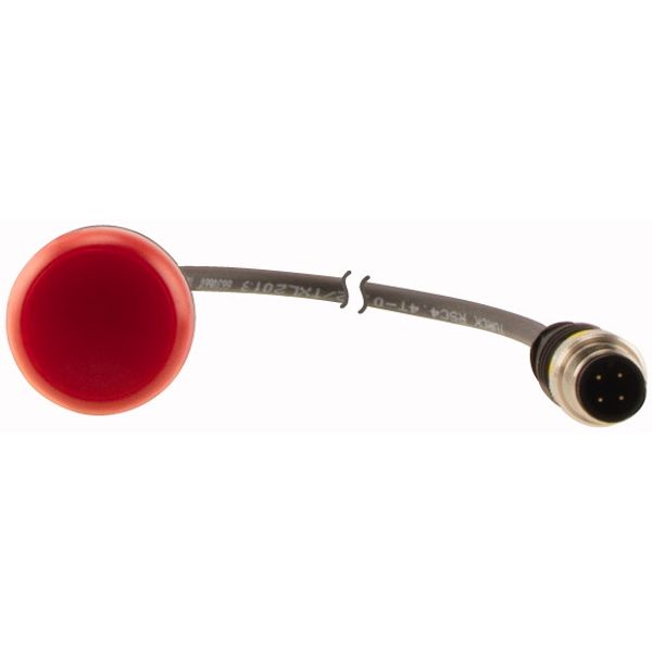 Indicator light, Flat, Cable (black) with M12A plug, 4 pole, 1 m, Lens Red, LED Red, 24 V AC/DC image 2