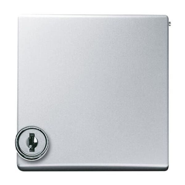 2118 GKSLN/11-31 CoverPlates (partly incl. Insert) Flush-mounted, water-protected, special connecting devices Brown image 5