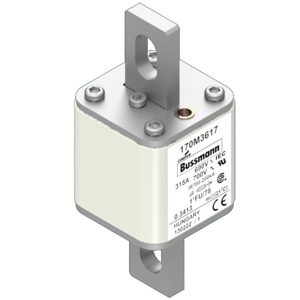 Fuse-link, high speed, 315 A, AC 690 V, compact size 1, 45 x 45 x 110 mm, aR, IEC, UL image 2