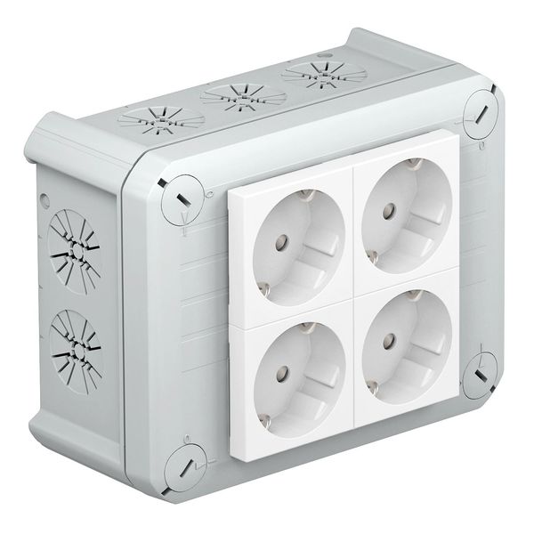 T 100 4MSD WS  Branch box, 4 Schuko sockets 33° white 2+2, 150x116x67, light gray Polypropylene image 1